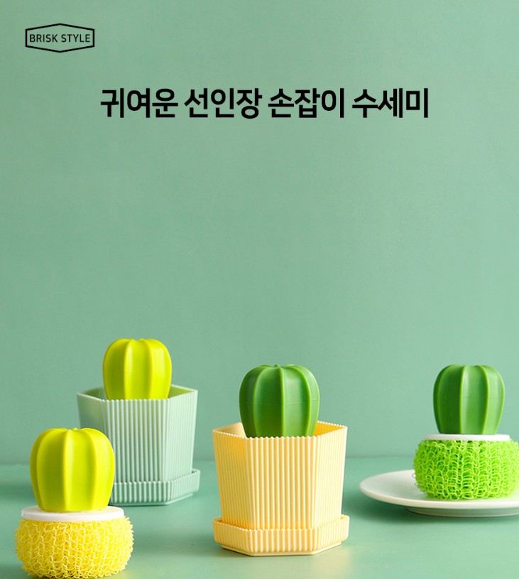 Cactus Dish Scrubber _ color random